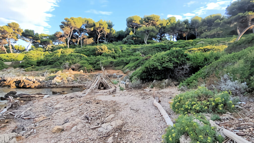 location studio vallauris reservation