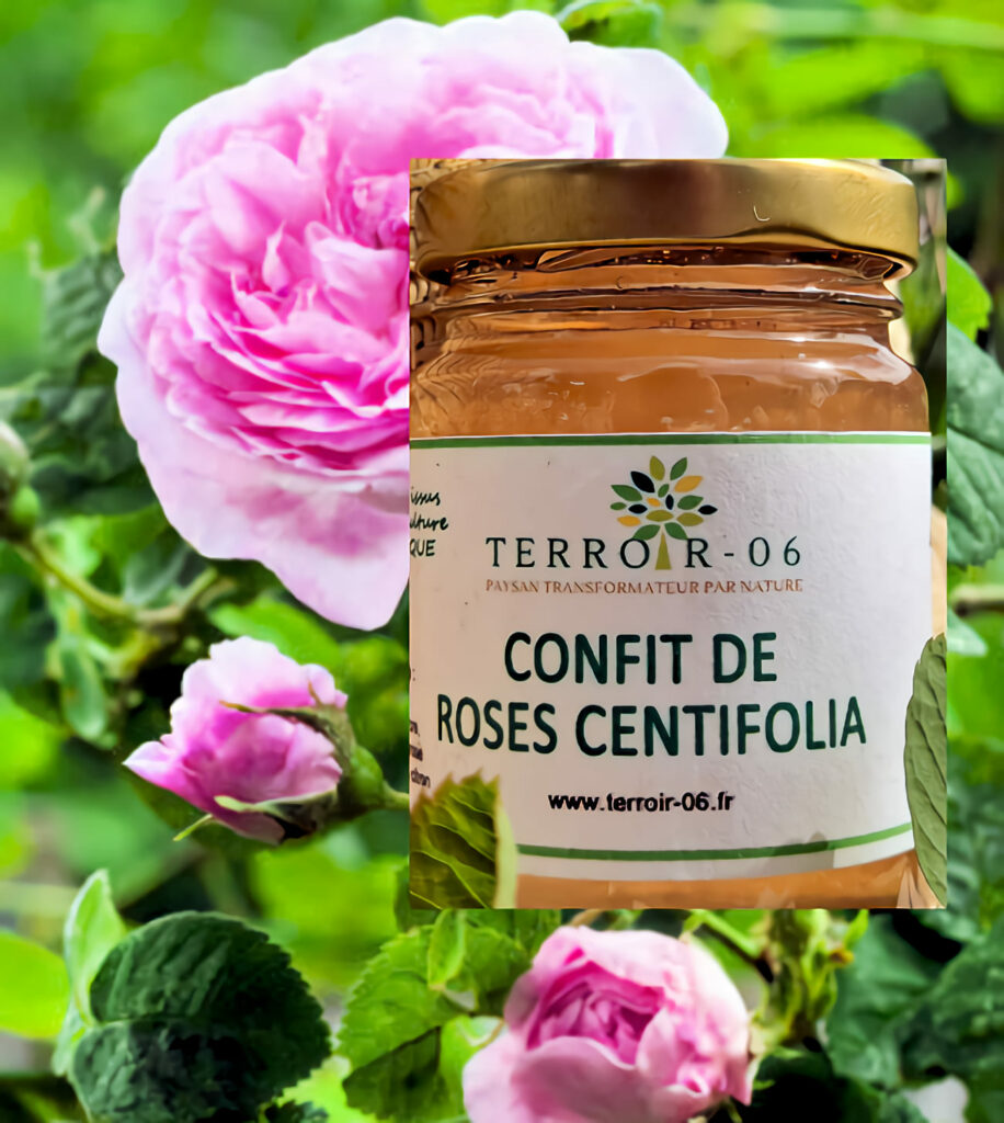 confit rose centifolia terroir 06