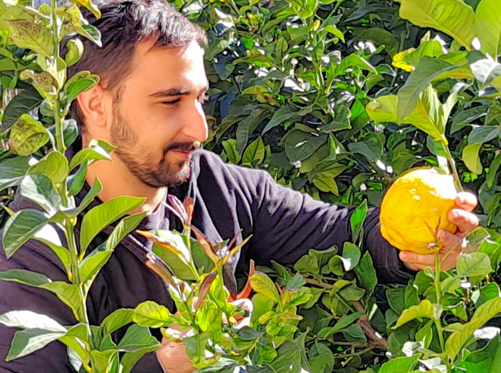 gelée citron artisanale grasse