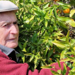 agriculture bio bar sur loup