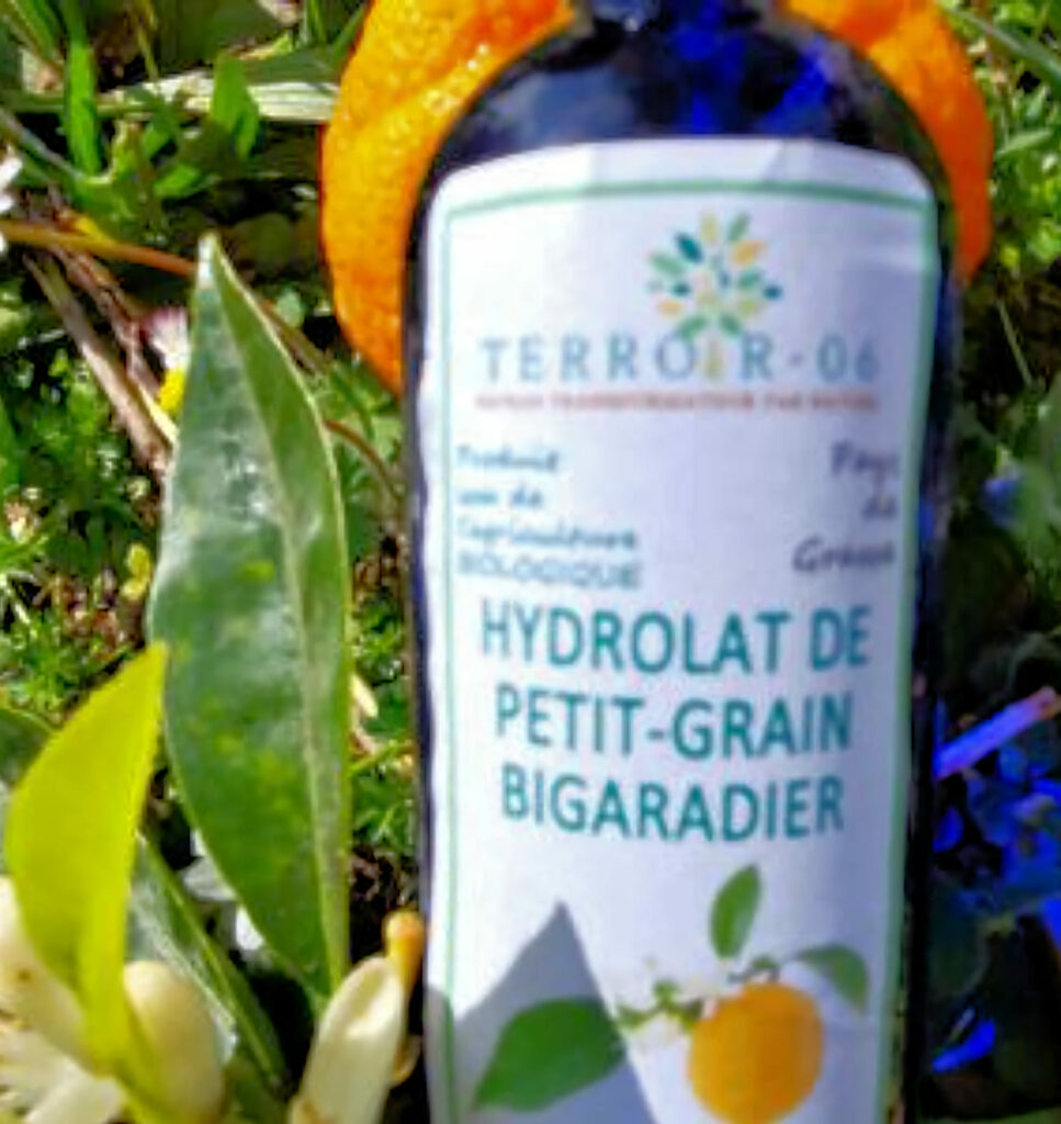 fleur oranger terroir 06 grasse