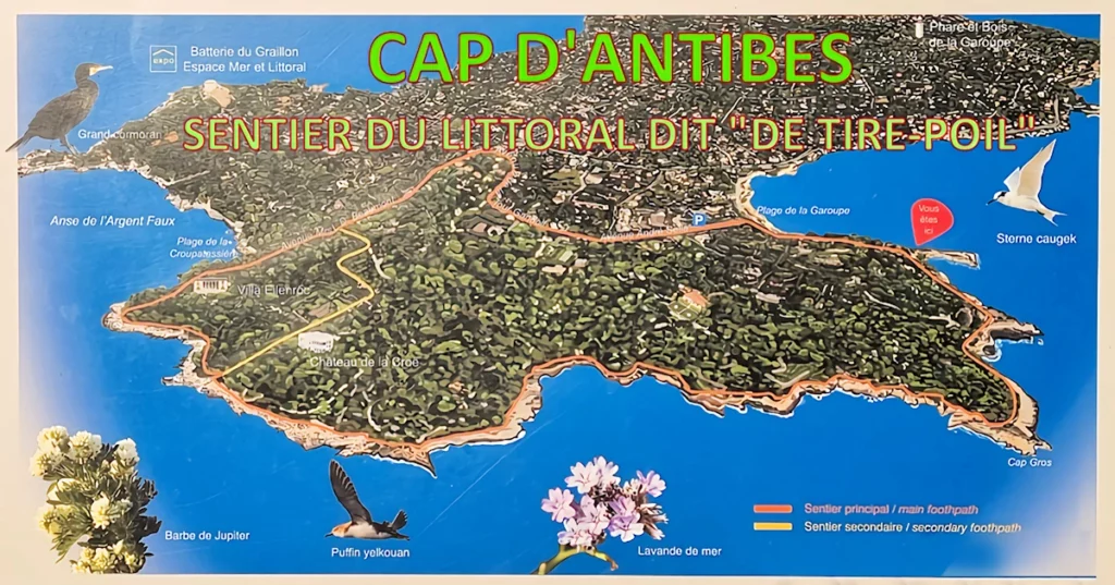 Cap d'Antibes la carte du sentier du littoral