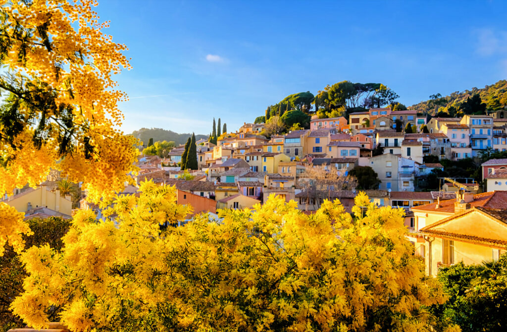 Bormes-les-Mimosas
