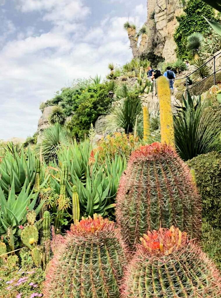 Èze, le jardin exotique