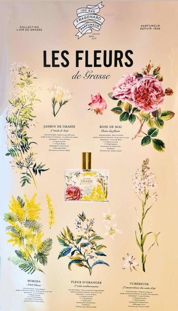 Fragonard à Grasse, les fleurs de Grasse