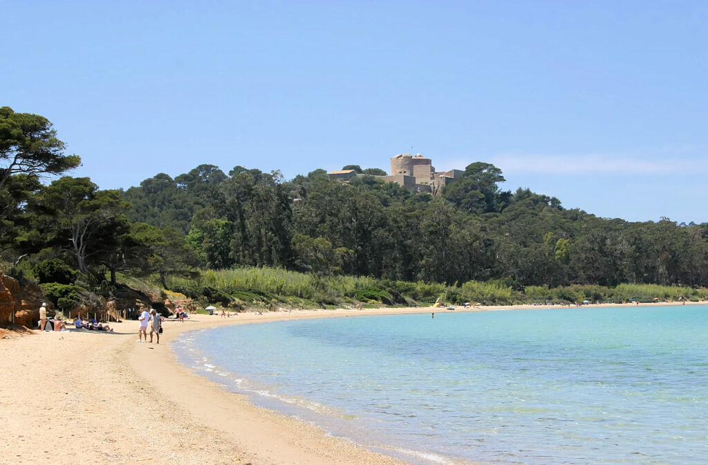 Porquerolles, la plage de la Courtade