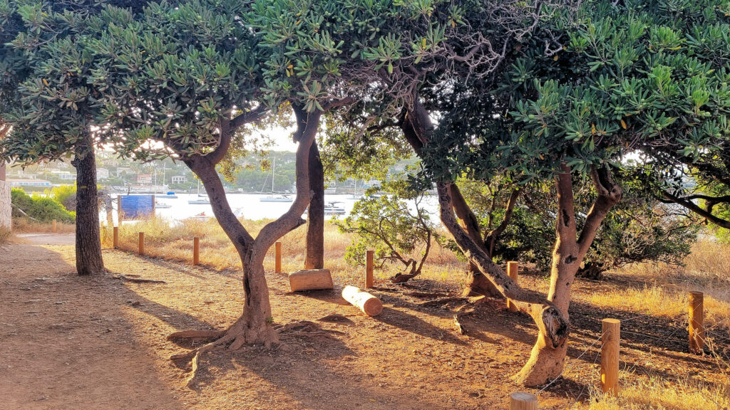 Promenade sur le sentier du Tire-Poil au Cap d’Antibes