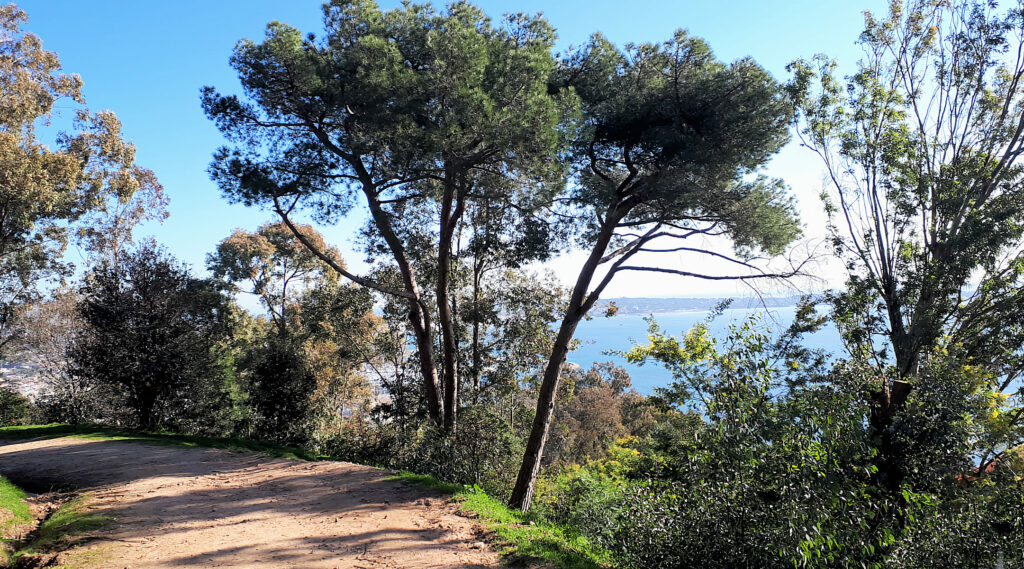 Vallauris Golfe-Juan, massif du parc départemental du Paradou